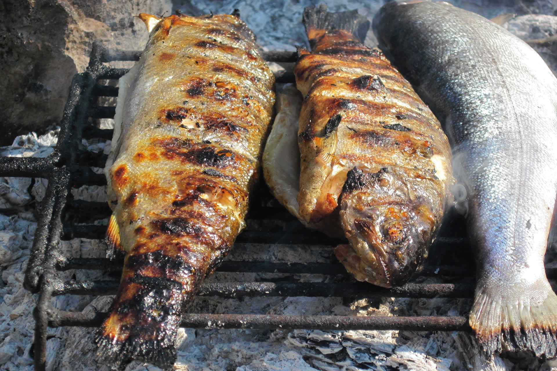 Camping Baciccia